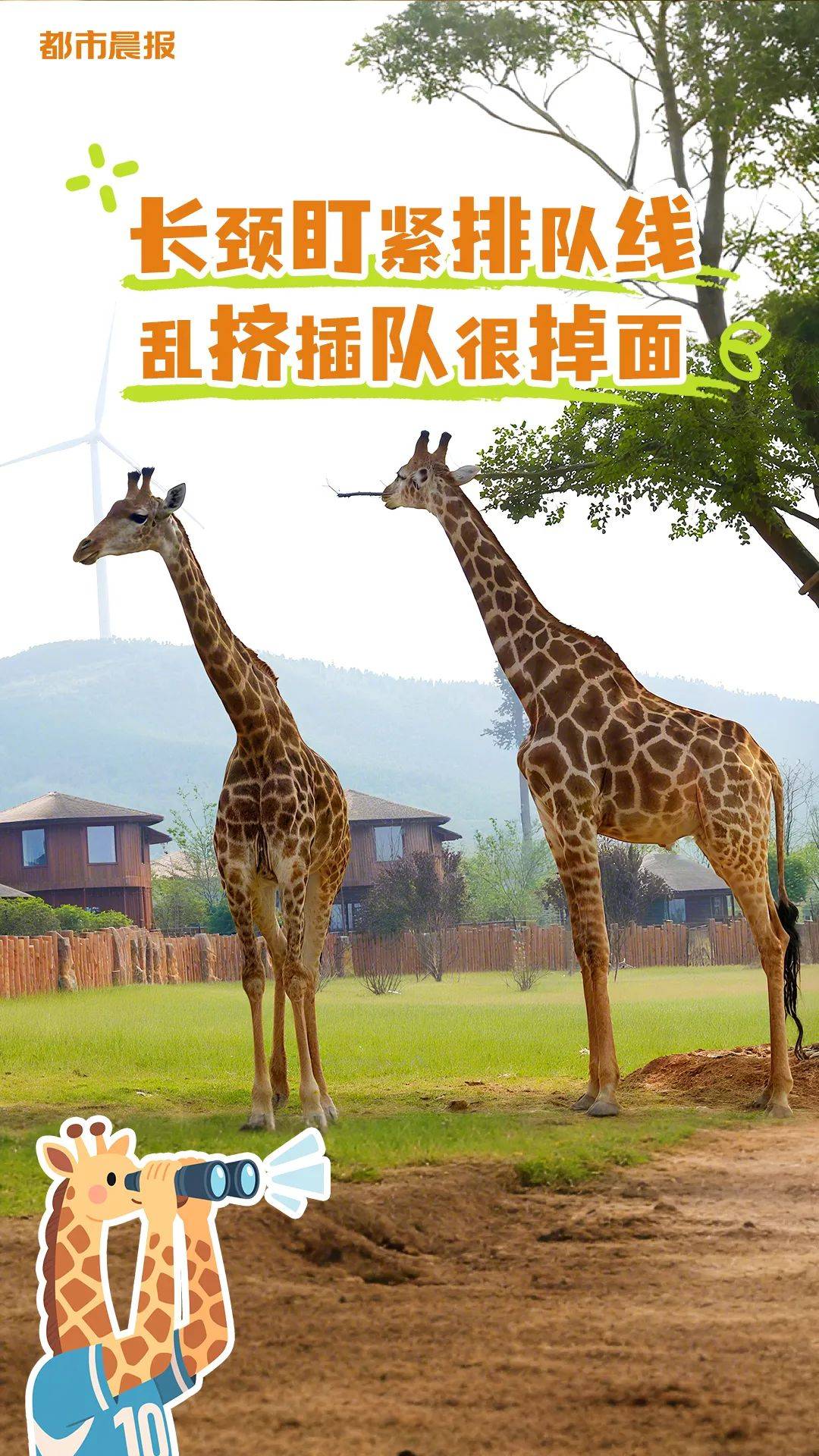 苏超“裁判团”申请出战！
