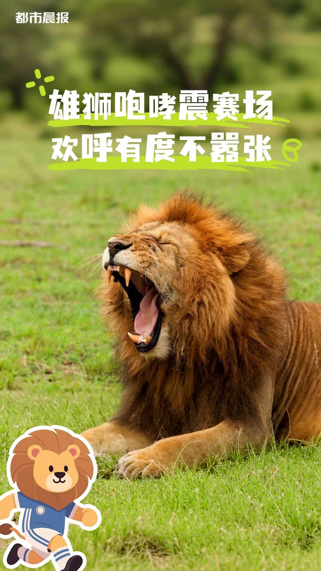 苏超“裁判团”申请出战！