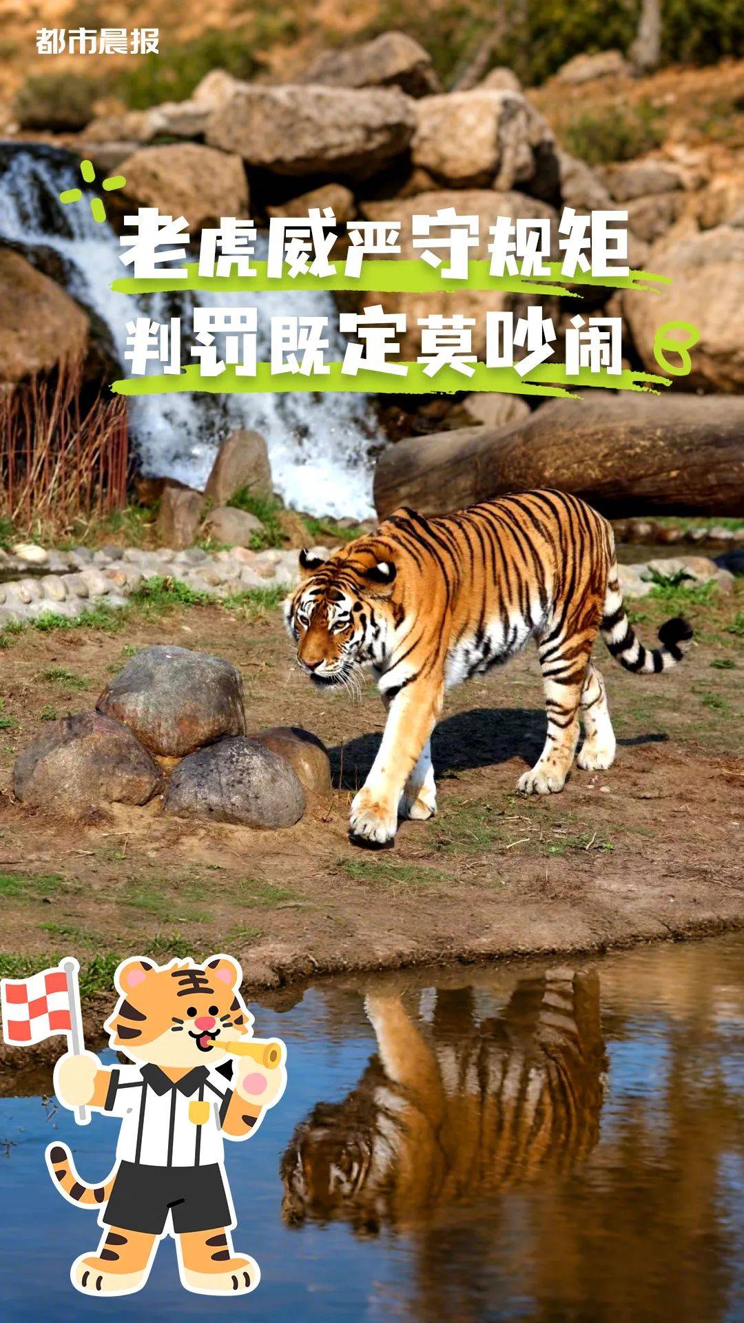 苏超“裁判团”申请出战！