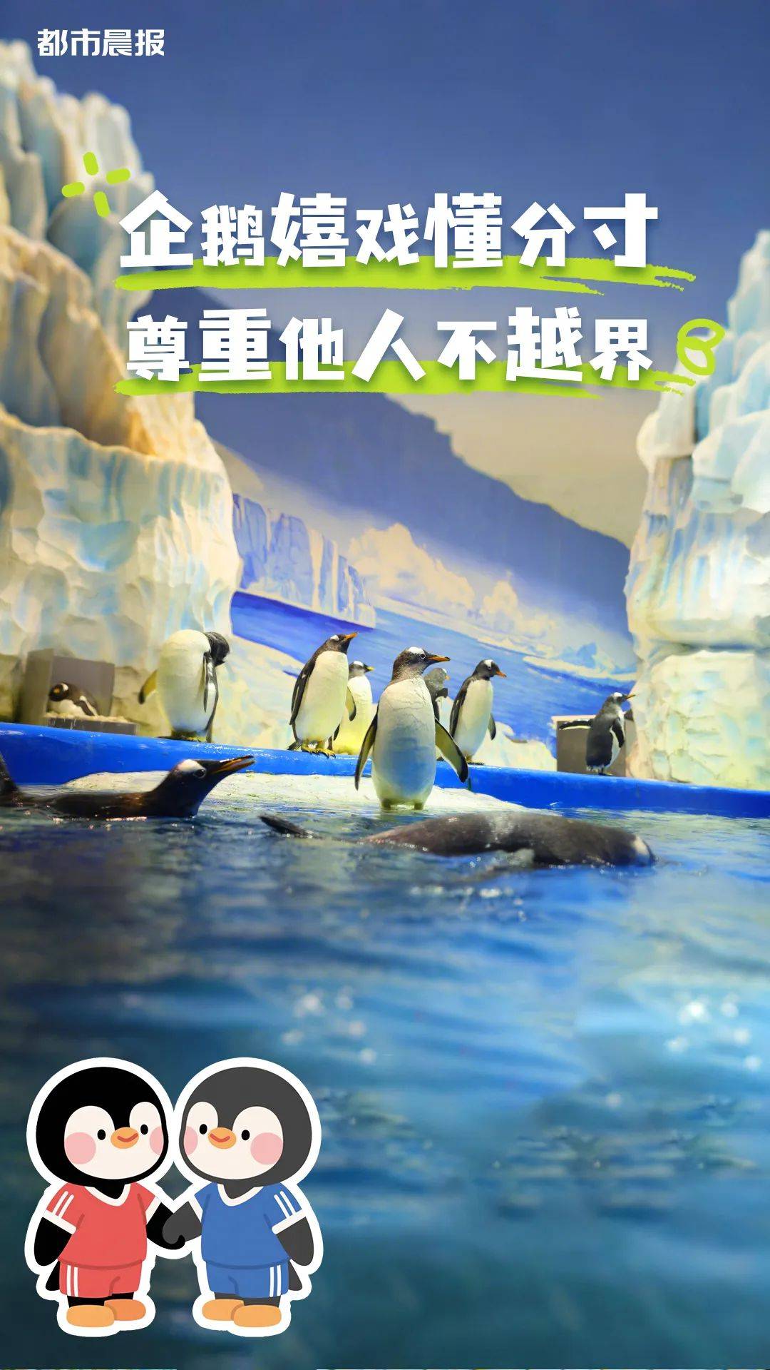 苏超“裁判团”申请出战！