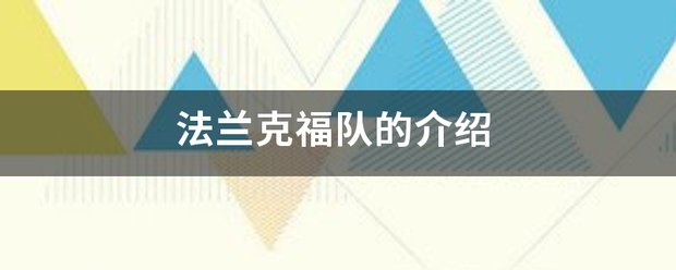法兰克福队的介绍